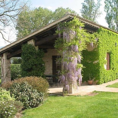 Agriturismo Le Due Torri Torre Quadrano สเปลโล ภายนอก รูปภาพ